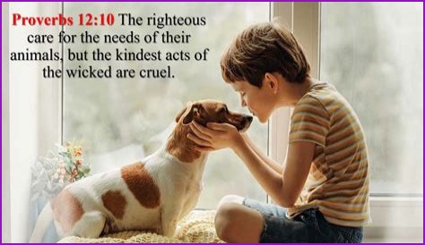 What does it mean that a righteous person cares for the needs of animals (Proverbs 12:10)?